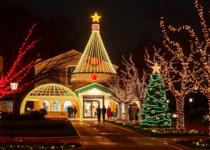 Holiday-Lighting-in-San-Antonio-TX-1731988453